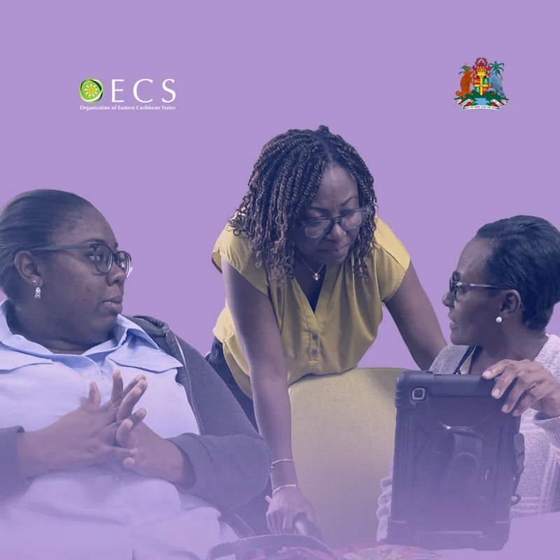 End-to-End Support for Grenada’s Household Budget Survey