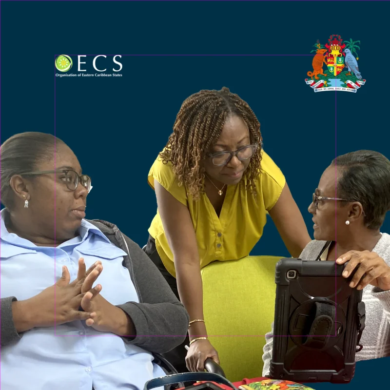 End-to-End Support for Grenada’s Household Budget Survey