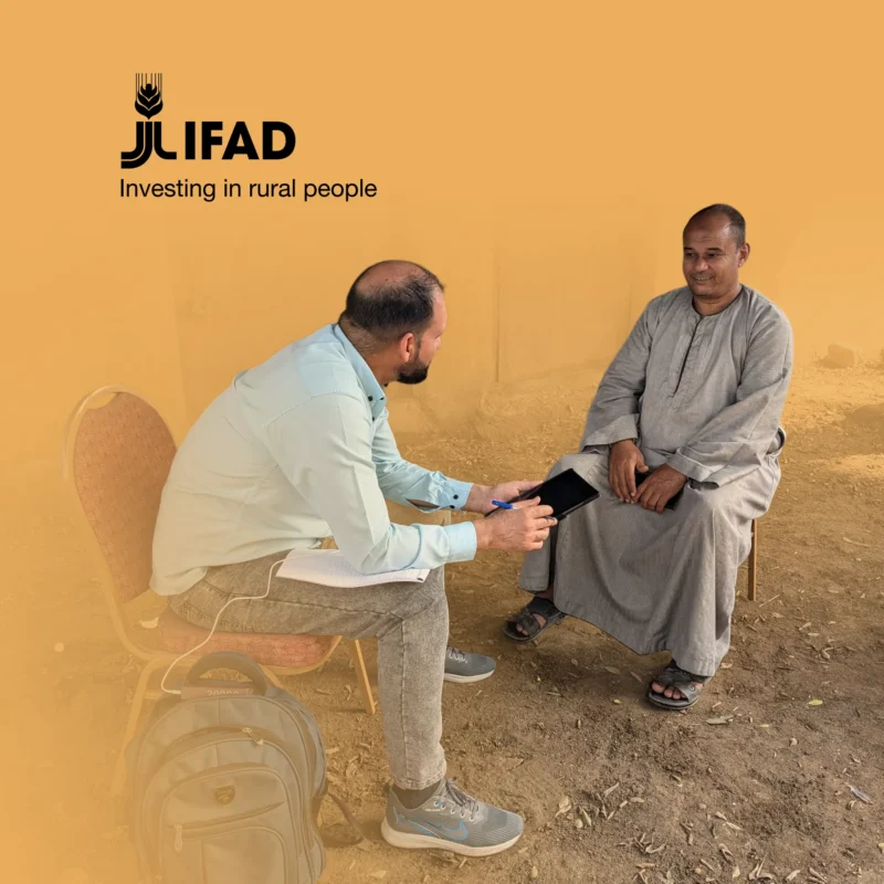 Impact Assessment Survey for SAIL in Egypt